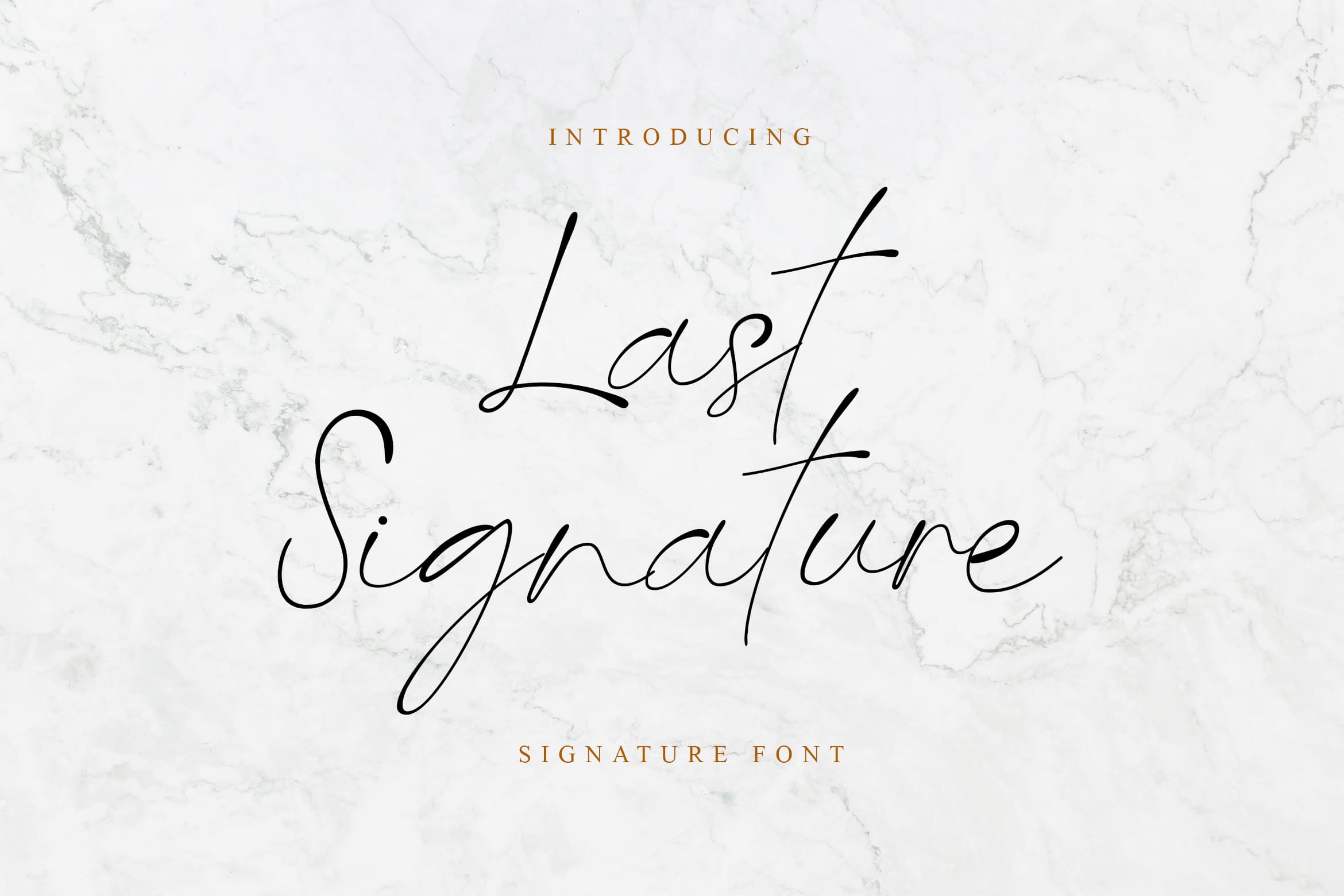 Beispiel einer Last Signature-Schriftart #1